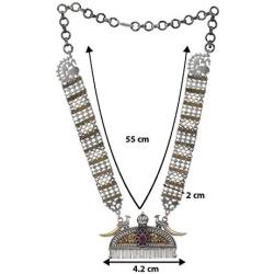 Aheli Glaring Oxidized Necklace Indian Traditional Vitnage Boho Wedding Ethnic Fashion Jewelry for Women