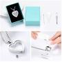 zeqingjw Glass Cremation Jewelry Necklace for Ashes Heart Memorial Lockets for Ashes Stainless Steel Keepsake Urn Ashes Pendants