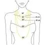 Mints Freshwater Cultured Pearl Strands Necklace Sterling Silver Fine Jewelry for Women 16''-20'', 6.5-8.5mm