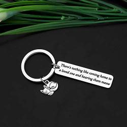 CYTING Cat Keychain Pet Owner Rescue Jewelry Cat Lover/Mom/Lady Gift Theres Nothing Like Coming Home to A Loved One and Hearing Them Meow