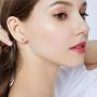 Creativity Ruby Love Heart Stud Earrings, White Gold Plated Hypoallergenic Earings for Girls and Women