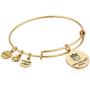 Alex and Ani Pat The Patriot Expandable Bangle Bracelet