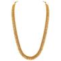 Aheli Bollywood Traditional Gold Tone Long Necklace Earrings Jewelry Set for Women Wedding Party Ethnic Fashion Wear