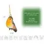 Spinningdasiy Dangling Colorful Flying Creature Bird Earrings | Bird Lover Earrings