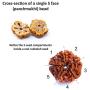 Wonder Care Authentic Rudraksh Mala-5face- Genuine Himalayan Rudraksha Seeds Religious Ornament Rosary Japa Mala Necklace - Imported from Nepal