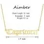 Aimber 18K Gold Plated Astrology Necklace for Women Jewelry,12 Zodiac Pendant Horoscope Constellations Necklace Aimber 18K Gold Plated Astrology Necklace for Women Jewelry,12 Zodiac Pendant Horoscope Constellations Necklace