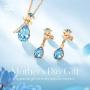 CDE Jewelry Sets for Women Rose Gold Jewelry Embellished with Crystal from Austria Mothers Day Jewelry Gifts Necklace and Earrings Set for Mom Wife