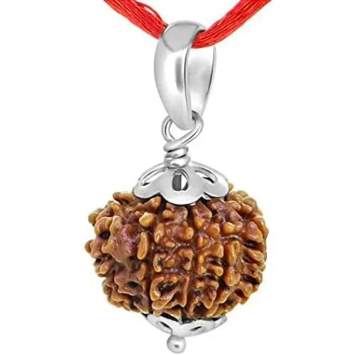 55Carat Choose Your Original Lab Certified Rudraksha 1 to 13 Mukhi Ganesha Gauri Shankar Silver Plated Pendant Astrological Shiva Jewelry for Men and Women