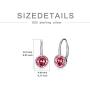TOUPOP 12 Birthstone Earrings s925 sterling silver Leverback Drop Earrings with Crystal Jewelry Gift for Women Teen Girl Birthday Christmas