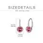 TOUPOP 12 Birthstone Earrings s925 sterling silver Leverback Drop Earrings with Crystal Jewelry Gift for Women Teen Girl Birthday Christmas
