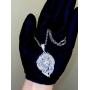Shop-iGold Men Women 925 Italy Iced Silver Iced Lion Head Charm Ice Out Pendant Stainless Steel Real 2 mm Rope Chain Necklace, Mens Jewelry, Iced Pendant, Rope Necklace