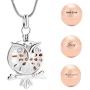 Cremation Jewelry Urn Pendant Necklace with Hollow Urn Cremation Jewelry for Ashes Owl Shape Pet Cremation Jewelry