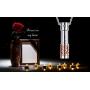 VNOX Stainless Steel Cylinder Urn Pendant Necklace for Memorial Human Being Cremation Ashes,Free Chain