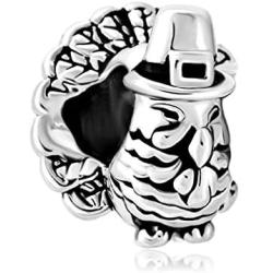 CharmSStory Turkey Charms Silver Plated Beads for Bracelets