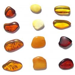 Raw Amber Flat Gemstones Very Small Set of 12 Stones