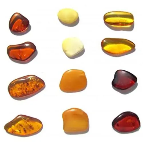 Raw Amber Flat Gemstones Very Small Set of 12 Stones