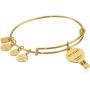 Alex and Ani We Rise EWB, Bangle Bracelet