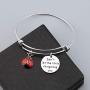 WUSUANED Good Luck Ladybug Keychain When She Swoops In It Remind Us Not Be Let Worries Cloud A Single Day Ladybug Lover Gift