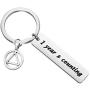HOLLP Sobriety Gift 1 Year 5 Years Sobriety Anniversary Keychain 1 Year and Counting AA Encouragement Keychain Recovery Jewelry