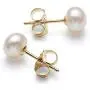 14K Gold Freshwater Pearl Necklace Bracelet Stud Earring Set,18''