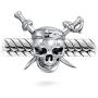 Halloween Skeleton or Pirate Skull Crossbones Charm Bead For Women Teen 925 Sterling Silver Fits European Bracelet