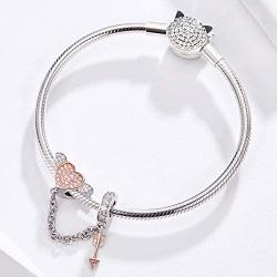 BAMOER 925 Sterling Silver Dangle Charms Pearl Cubic Zirconia Charm Beads for Women for Bracelet Necklaces