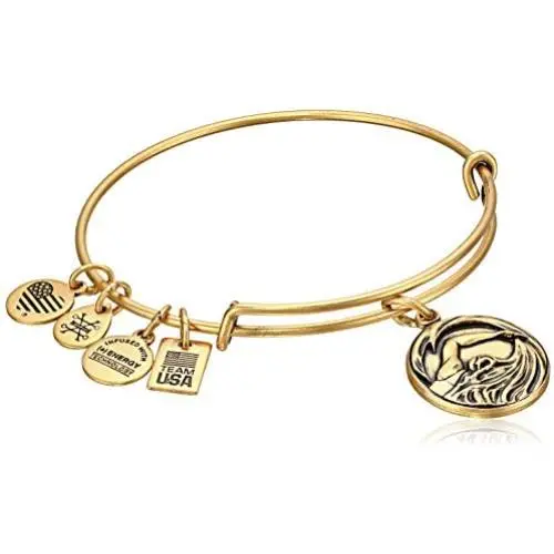 Alex and Ani Team USA Swimming Expandable Bangle Bracelet Alex and Ani Team USA Swimming Expandable Bangle Bracelet