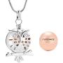 Cremation Jewelry Urn Pendant Necklace with Hollow Urn Cremation Jewelry for Ashes Owl Shape Pet Cremation Jewelry
