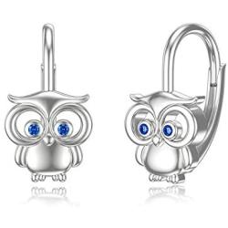 Owl Earrings Hoop Lucky Sterling Silver Animal Lover Jewelry Set Valentine‘s Day Birthday Gifts for Women Girlfriend Best Friend