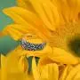 Sunflower Ring, Boho Floral Rings for Women, Dainty Sterling Silver Jewelry, Flower Promise Accessory, Antique Wedding Gift, Bohemian Fashion Item Sunflower Ring, Boho Floral Rings for Women, Dainty Sterling Silver Jewelry, Flower Promise Accessory, Antique Wedding Gift, Bohemian Fashion Item