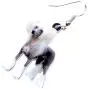 NEWEI Acrylic Chinese Crested Sweet Dog Earrings Drop Dangle Jewelry For Girl Women Gift Charms