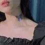 Ladies necklace , WH Lifestyle necklaces for women necklace jewelry women girl gift choker set fashion decorative clear lid boxes jewelry tray (blue) Ladies necklace , WH Lifestyle necklaces for women necklace jewelry women girl gift choker set fashion decorative clear lid boxes jewelry tray (blue)