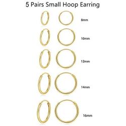 Hoop Earring 14K White Gold Plated S925 Sterling Silver Endless Small Hoop Earring Set for Cartilage Nose Lip Rings 8mm-16mm