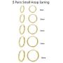 Hoop Earring 14K White Gold Plated S925 Sterling Silver Endless Small Hoop Earring Set for Cartilage Nose Lip Rings 8mm-16mm