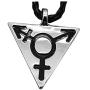 SENFAI Transgender Bisexual Gay Lesbian Pendant with 20'' Choker Necklace Jewelry