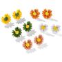 5 Pairs Small Daisy Flowers Earrings Female Shiny Simple Elegant Stud Earring Sweet Candy Petal Earrings for Woman Girls Summer Jewelry