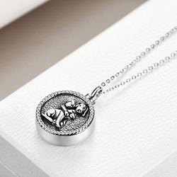 ONEFINITY Cat Dog Urn Necklace for Ashes Sterling Silver Animal Keepsake Pet Memorial Pendant Jewelry Gift for Women Men (2.pet urn Necklace)