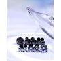 Jenxnjsjo Cartilage Earrings Stud Earrings Helix Conch Piercing Jewelry Cubic Zirconia Stud Earrings Screw Back Earrings for Women Cartilage Earring Stud Stud Earring Set Earrings With Screw Backs