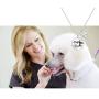 SEIRAA Pet Groomer Gift Dog Groomer Necklace Vet Tech Jewelry Paw Print Charm Necklace Gift for Animals Lover