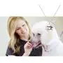 SEIRAA Pet Groomer Gift Dog Groomer Necklace Vet Tech Jewelry Paw Print Charm Necklace Gift for Animals Lover