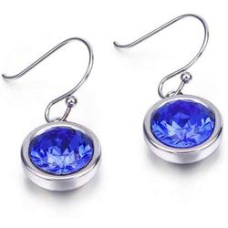 Stainless Steel Round Shape Cubic Zircon Dangle Drop Earrings
