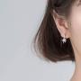 SLUYNZ Sparkling Star Drop Earrings for Women Teen Girls 925 Sterling Silver CZ Star Hook Earrings