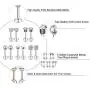 ZS 5 Pairs Ball Stud Earrings Stainless Steel 18G Barbell Gartilage Earrings Helix Earrings 4mm CZ Ear Piercing Set ZS 5 Pairs Ball Stud Earrings Stainless Steel 18G Barbell Gartilage Earrings Helix Earrings 4mm CZ Ear Piercing Set