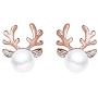 BITSEACOCO Personalized Christmas Necklace Earrings Set for Women, Charm Rose Gold Pearl Necklace Funny Christmas Jewelry Gifts for Girls, Teen Girls, Mom, Grandma