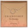 EFYTAL Best Friend Gifts, Sterling Silver Friendship for Eternity Necklace, Two Interlocking Infinity Circles Gift For Best Friend