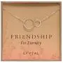 EFYTAL Best Friend Gifts, Sterling Silver Friendship for Eternity Necklace, Two Interlocking Infinity Circles Gift For Best Friend EFYTAL Best Friend Gifts, Sterling Silver Friendship for Eternity Necklace, Two Interlocking Infinity Circles Gift For Best Friend