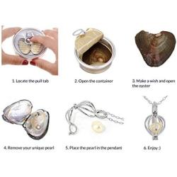 Make a Wish Necklace – Open Your Own Freshwater Oyster Pearl – Includes Cage Pendant and Chain