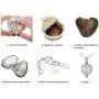 Make a Wish Necklace – Open Your Own Freshwater Oyster Pearl – Includes Cage Pendant and Chain