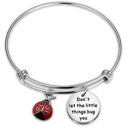 WUSUANED Good Luck Ladybug Keychain When She Swoops In It Remind Us Not Be Let Worries Cloud A Single Day Ladybug Lover Gift