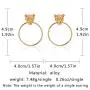 Doubnine Lion Head Earrings Gold Circle Dangle Baroque Animal Earrings Women Accessories Gift